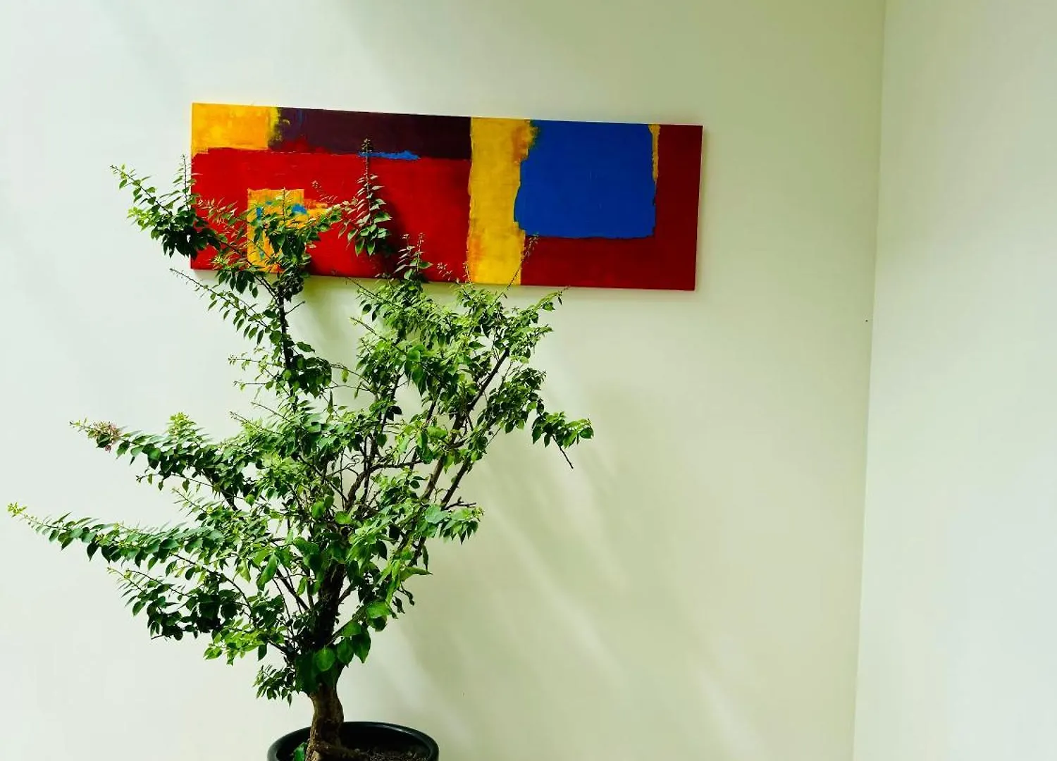 An House Hotel & Apartment Da Nang